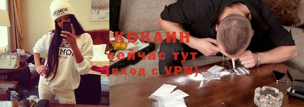 молекула духа Белокуриха