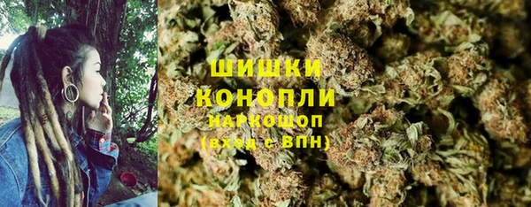 молекула духа Белокуриха