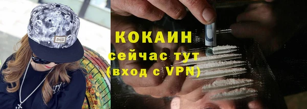 молекула духа Белокуриха
