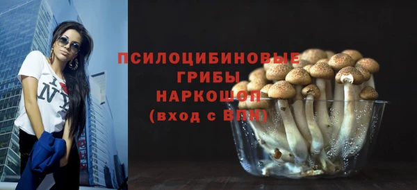 молекула духа Белокуриха