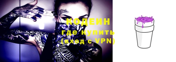 молекула духа Белокуриха