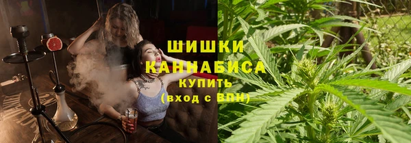 молекула духа Белокуриха