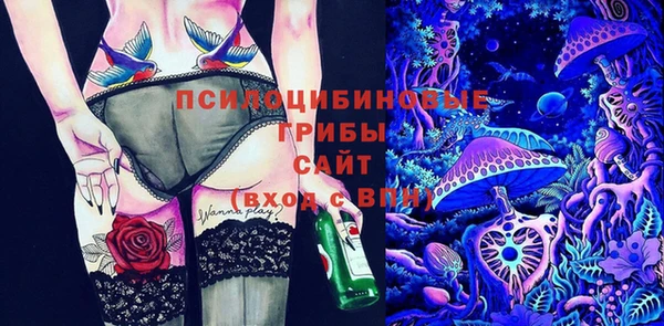 молекула духа Белокуриха