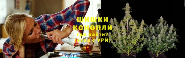 молекула духа Белокуриха