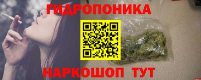 прущие крисы Братск
