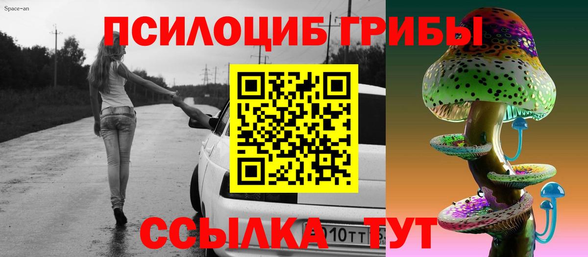 Великий Устюг  Псилоцибиновые грибы Psilocybe  Вход с VPN 